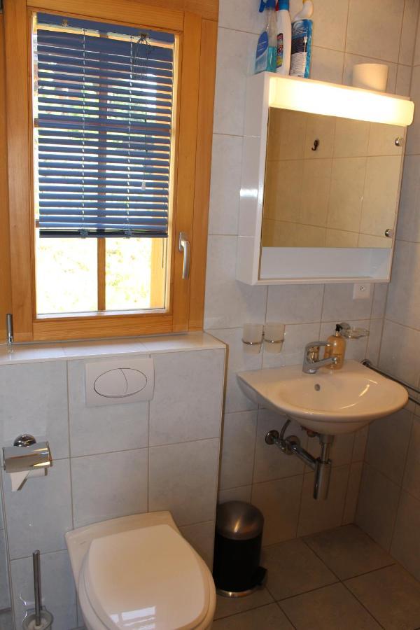Chalet Amos Villa Grimentz Eksteriør billede