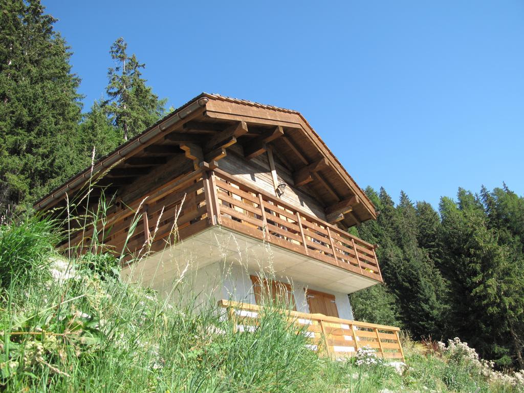Chalet Amos Villa Grimentz Eksteriør billede